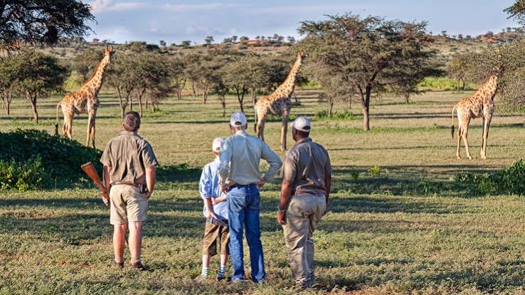 Guided Bush Walks